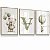 Quadro Decorativo Infantil Ursinho Balões Nome Personalizado Balão Tons Verde Kit 3 Quadros - Imagem 3