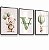 Quadro Decorativo Infantil Ursinho Balões Nome Personalizado Balão Tons Verde Kit 3 Quadros - Imagem 6