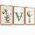 Quadro Decorativo Infantil Ursinho Balões Nome Personalizado Balão Tons Verde Kit 3 Quadros - Imagem 5