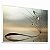 Quadro Decorativo Flor Dente de Leão Natureza Delicado Gotas Orvalho - Imagem 5