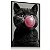 Quadro Decorativo Gatinho Cinza Gato Mascando Chiclete Cat Animais - Imagem 2