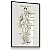 Quadro Decorativo Sistema Linfático Corpo Humano Flores Spa Medicina - Imagem 6