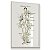 Quadro Decorativo Sistema Linfático Corpo Humano Flores Spa Medicina - Imagem 3