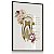 Quadro Decorativo Dentista Odontologia Clínica Anatomia Dentária Dentes Medicina - Imagem 6