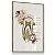 Quadro Decorativo Dentista Odontologia Clínica Anatomia Dentária Dentes Medicina - Imagem 4