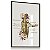 Quadro Decorativo Obstetra Placenta Obstetrícia Medicina Fetal Anatomia Cordão Umbilical - Imagem 6