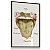 Quadro Decorativo Estúdio Body Piercing Língua Pontos Perfurações - Imagem 6