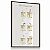Quadro Decorativo Ciclo Crescimento do Cabelos Hair Estética Capilar Cabeleireira - Imagem 5