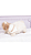 Ref. 5026 Bandana Pet - KEEP CALM - Imagem 2