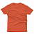 CAMISETA INFANTO JUVENIL CORAL SHARK - Imagem 2