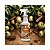 Aromatizador Air Essence 500ml Maça e Canela Spartan - Imagem 3