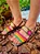 Sandália Rasteirinha Colorida - NOVA SANDAL Colors - Imagem 2