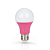 Lâmpada Bulbo LED Bivolt 7W Rosa - Imagem 1