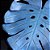 Fruteira Costela de Adão Blu - Imagem 4