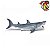 MEGALODON PAPO 2021 TUBARÃO PRÉ-HISTÓRICO GIGANTE MINIATURA PEIXE OTODUS MEGALODON - Imagem 3