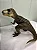 TIRANOSSAURO REX PAPO VERDE RÉPLICA RARA VERSÃO 2005 BRINQUEDO DE DINOSSAURO COLECIONÁVEL [USADO] - Imagem 4