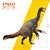 THERIZINOSAURUS PNSO "QINGGE" RÉPLICA DE DINOSSAURO EMPLUMADO MINIATURA DE PVC - Imagem 5