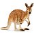 CANGURU SCHLEICH MINIATURA DE ANIMAL SELVAGEM AUSTRALIANO MARSUPIAL - Imagem 1