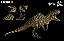 GIGANOTOSAURUS NANMU 2023 VERDE "GUSTAV" MINIATURA DINOSSAURO CARNÍVORO REALISTA GIGANOTOSSAURO - Imagem 1