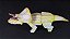 ZUNICERATOPS ALBINO BEASTS OF THE MESOZOIC FIGURA DE CERATOPSÍDEO DINOSSAURO ARTICULADO [PRÉ-VENDA] - Imagem 4