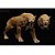 SMILODON POPULATOR REBOR STRAY CAT - VERSÃO PLANÍCIE - TIGRE-DENTES-DE-SABRE - Imagem 1