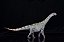 CAMARASAURUS VERDE GRTOYS HAOLONGGOOD DINOSSAURO MODELO CIENTÍFICO SAURÓPODE - Imagem 4