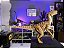 VELOCIRAPTOR "SNAP JAW" JP18 MUNDO PERDIDO JURASSIC PARK KENNER 1997 FIGURA ARTICULADA [USADO] - Imagem 1