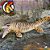 TILOSSAURO WILD SAFARI MINIATURA DE RÉPTIL MARINHO BONECO IMPORTADO BRINQUEDO  TYLOSAURUS - Imagem 6