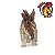 STEGOSAURUS PAPO 2019 MINIATURA BRINQUEDO DE DINOSSAURO FIGURA COLECIONÁVEL ESTEGOSSAURO - Imagem 6