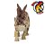 STEGOSAURUS PAPO 2019 MINIATURA BRINQUEDO DE DINOSSAURO FIGURA COLECIONÁVEL ESTEGOSSAURO - Imagem 5