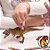 GORGOSAURUS PAPO 2019 MINIATURA DE DINOSSAURO BRINQUEDO DE DINOSSAURO COLECIONÁVEL GORGOSSAURO - Imagem 6