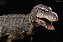 TYRANNOSAURUS REX KISS REBOR ILHA MINIATURA DE T-REX ACURADO CIENTIFICAMENTE [PRÉ-VENDA] - Imagem 1
