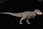 TYRANNOSAURUS REX KISS REBOR ILHA MINIATURA DE T-REX ACURADO CIENTIFICAMENTE [PRÉ-VENDA] - Imagem 2