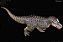 TYRANNOSAURUS REX KISS REBOR ILHA MINIATURA DE T-REX ACURADO CIENTIFICAMENTE [PRÉ-VENDA] - Imagem 5