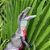 MEGALOSAURUS SAFARI LTD 2024 DINOSSAURO  COLECIONÁVEL MINIATURA DINOSSAURO EMPLUMADO - Imagem 6