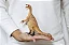 THERIZINOSAURUS RECUR 2024 RÉPLICA BRINQUEDO DE DINOSSAURO MINIATURA SÓLIDA TERIZINOSSAURO - Imagem 6