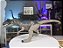 ALLOSAURUS EXTREME DAMAGE MATTEL JURASSIC WORLD DOMINION MINIATURA DINOSSAURO CARNÍVORO [USADO] - Imagem 3