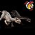 INDORAPTOR NANMU PRETO FIGURA DINOSSAURO JURASSIC WORLD - BERSERKER RAPTOR - Imagem 7