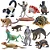 CONJUNTO DE 12 ANIMAIS DE MADAGASCAR TOYMANY FIGURAS DE ANIMAIS SELVAGENS DE BRINQUEDO - Imagem 1
