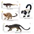 CONJUNTO DE 12 ANIMAIS DE MADAGASCAR TOYMANY FIGURAS DE ANIMAIS SELVAGENS DE BRINQUEDO - Imagem 4