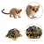 CONJUNTO DE 12 ANIMAIS DE MADAGASCAR TOYMANY FIGURAS DE ANIMAIS SELVAGENS DE BRINQUEDO - Imagem 6