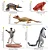 CONJUNTO DE 12 ANIMAIS DE MADAGASCAR TOYMANY FIGURAS DE ANIMAIS SELVAGENS DE BRINQUEDO - Imagem 5