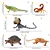 CONJUNTO DE 12 RÉPTEIS E ANIMAIS PEÇONHENTOS TOYMANY FIGURAS DE ANIMAIS SELVAGENS DE BRINQUEDO - Imagem 3