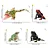 CONJUNTO DE 12 ANFÍBIOS TOYMANY FIGURAS DE ANIMAIS SELVAGENS DE BRINQUEDO SAPOS MINIATURA - Imagem 4