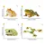 CONJUNTO DE 12 ANFÍBIOS TOYMANY FIGURAS DE ANIMAIS SELVAGENS DE BRINQUEDO SAPOS MINIATURA - Imagem 5