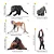 CONJUNTO DE PRIMATAS TOYMANY 15 FIGURAS DE ANIMAIS SELVAGENS DE BRINQUEDO - Imagem 5