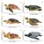 CONJUNTO DE 6 TARTARUGAS MARINHAS TOYMANY FIGURAS DE ANIMAIS SELVAGENS MARINHOS DE BRINQUEDO - Imagem 4