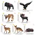 CONJUNTO DE 14 ANIMAIS NORTE AMERICANOS TOYMANY FIGURAS DE ANIMAIS MINIATURAS REALISTAS - Imagem 4