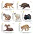CONJUNTO DE 14 ANIMAIS NORTE AMERICANOS TOYMANY FIGURAS DE ANIMAIS MINIATURAS REALISTAS - Imagem 5