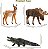 CONJUNTO DE 12 ANIMAIS DA FLORESTA NORTE AMERICANOS TOYMANY FIGURAS DE ANIMAIS MINIATURAS REALISTAS - Imagem 6